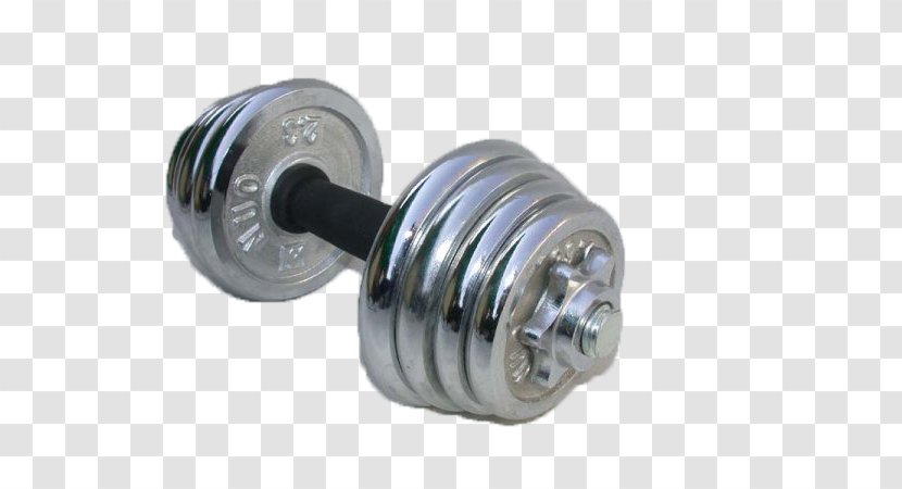 Dumbbell Barbell Weight Training Physical Exercise Sports Equipment - Olympic Weightlifting - Fitness Transparent PNG