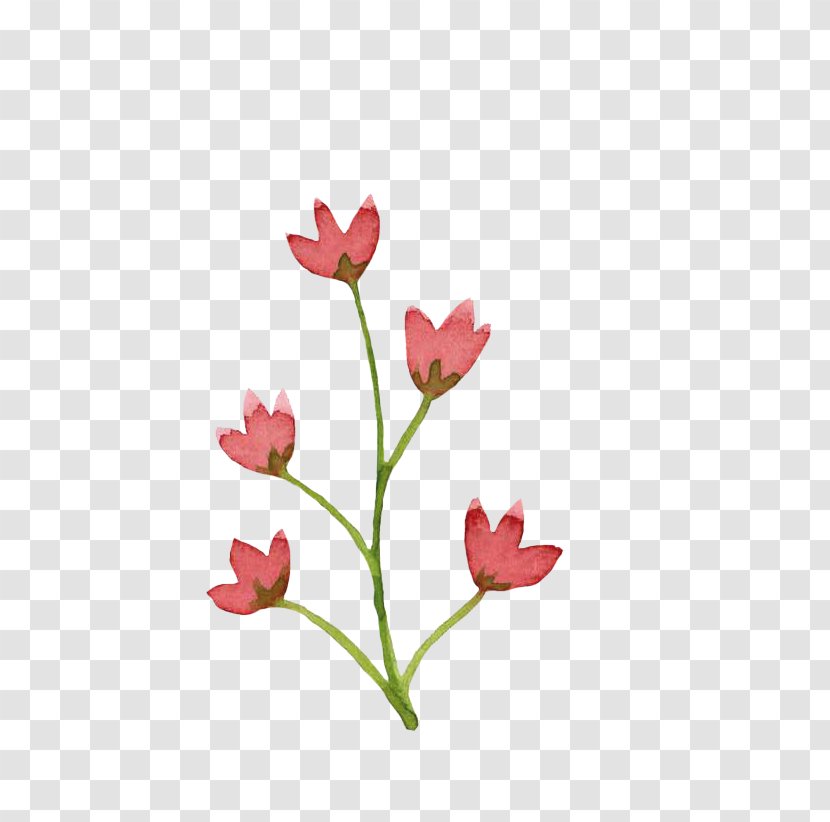 Son Leaf Clip Art - Plant - Tulip Transparent PNG