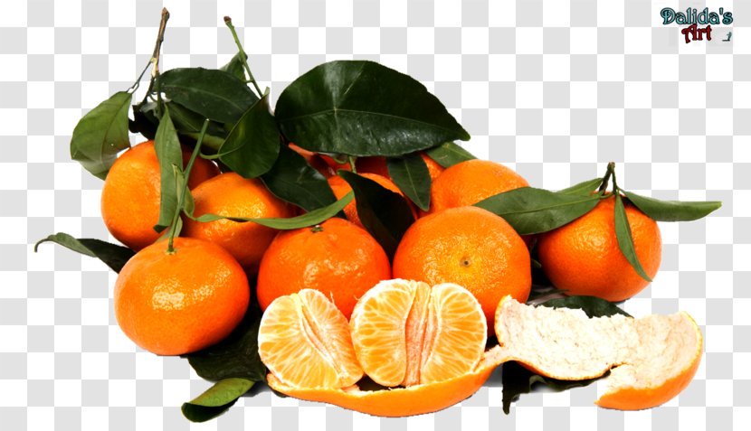 Clementine Mandarin Orange Tangerine Satsuma Juice - Rangpur Transparent PNG