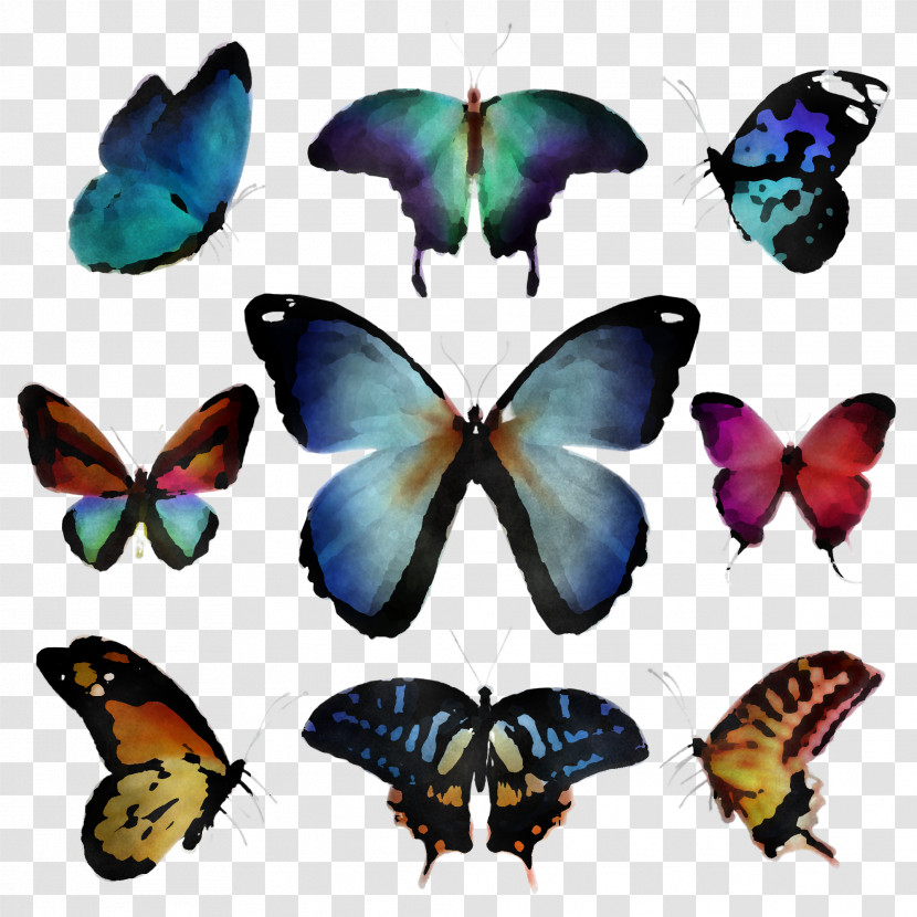 Moths And Butterflies Butterfly Insect Pollinator Apatura Transparent PNG