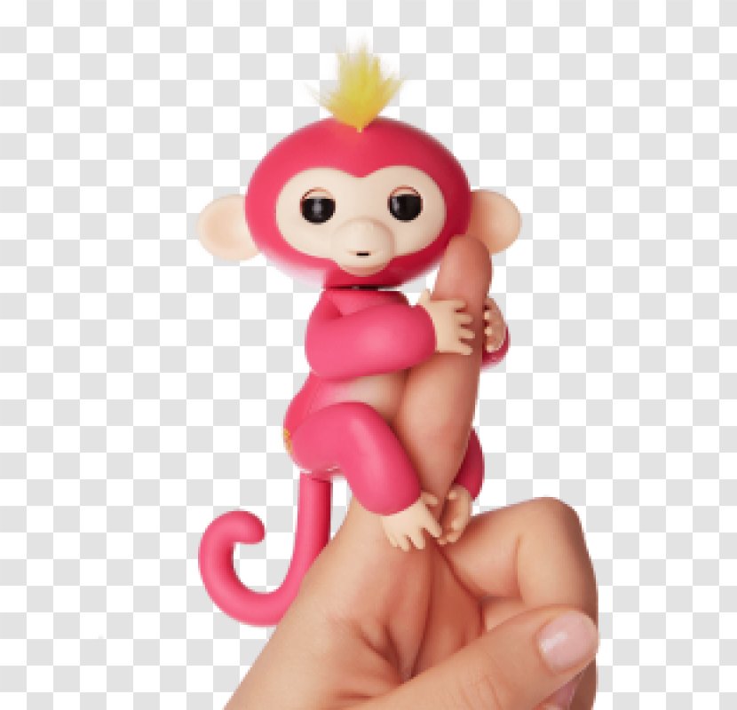Primate Rescue Center Baby Monkeys Pygmy Marmoset - Little Finger - Monkey Transparent PNG