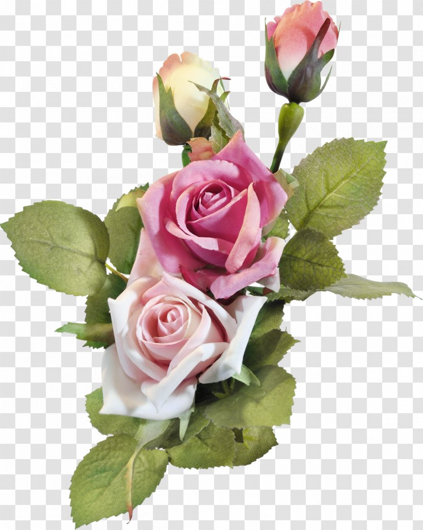 Flower Garden Roses Floral Design Vintage - Flowering Plant - Flowers Vine Download Transparent PNG