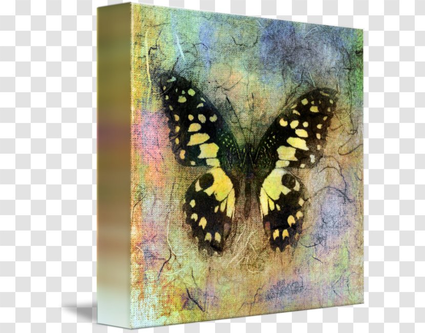 Gallery Wrap Canvas Print Painting Art - Pollinator - Glossy Butterflys Transparent PNG