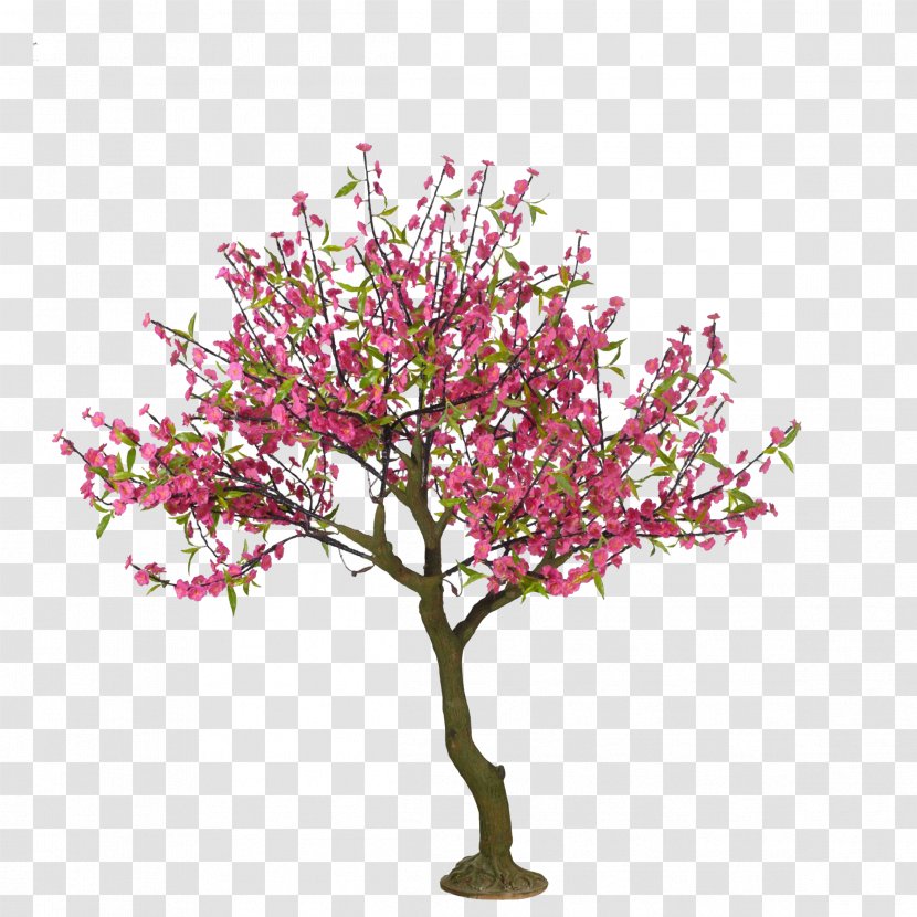 Cherry Blossom Tree Drawing Peach - Pink - Cartoon Hand-painted Trees Buckle Free Material Transparent PNG