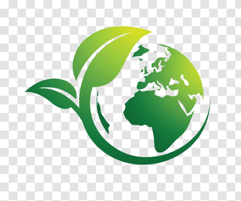 Natural Environment Earth Ecology - Leaf - Clean Transparent PNG