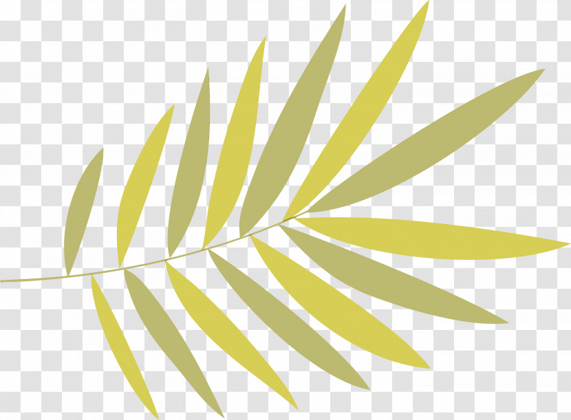 Leaf Plant Stem Grasses Yellow Font Transparent PNG