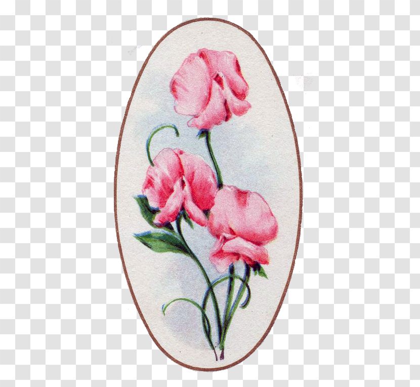 Garden Roses Floral Design Cabbage Rose Cut Flowers - Floristry - Sweet Peas Transparent PNG