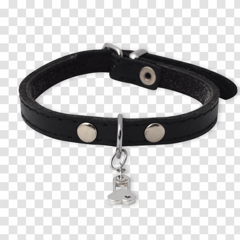 Bracelet Dog Collar Transparent PNG