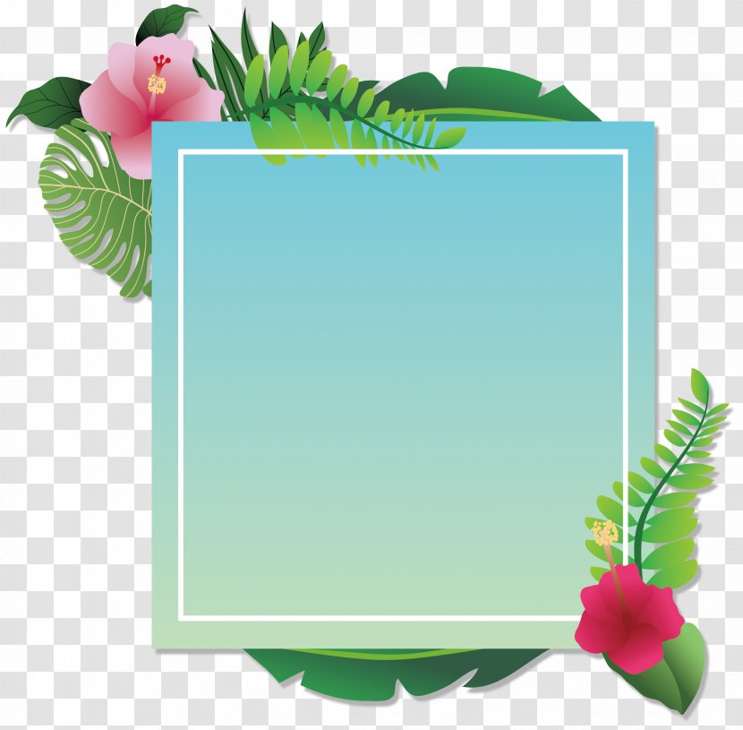 Party Convite - Grass - Summer Decoration Box Transparent PNG