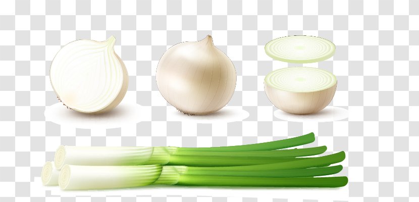 White Onion Red Scallion - Stock Photography - Green Onions And Vector Material Transparent PNG