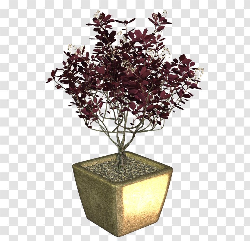 Bonsai Flowerpot Branching - Branch Transparent PNG