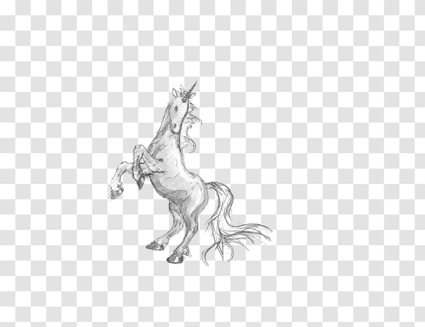 Drawing Pencil Unicorn Sketch - Watercolor - Hand-painted Transparent PNG