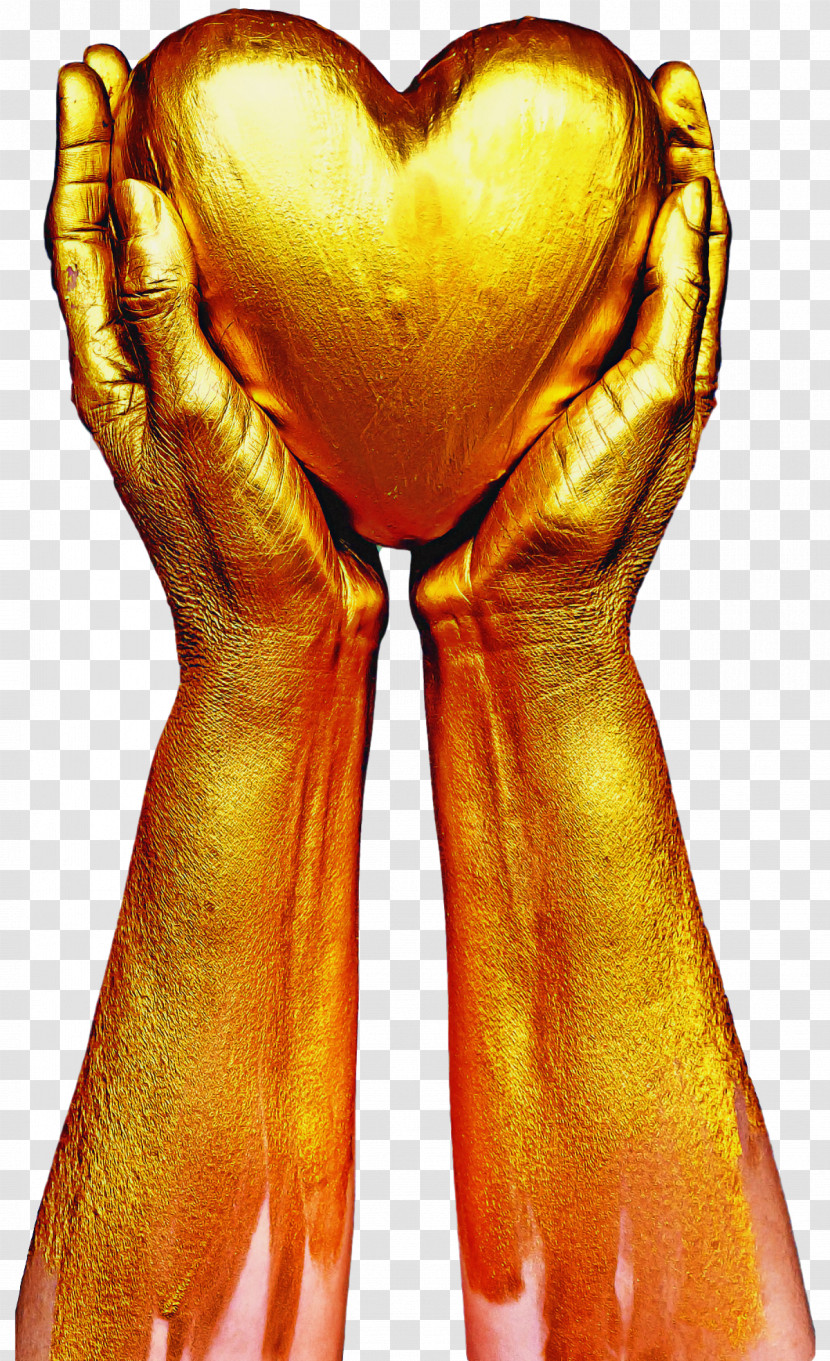 Hand Heart Muscle Human Body Gold Transparent PNG