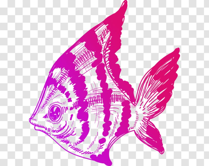 Drawing Line Art Illustration - Color Painted Ocean Fish Transparent PNG