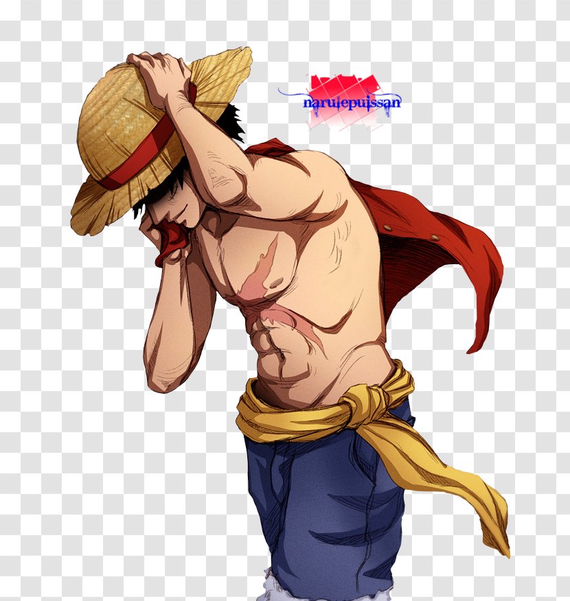 Monkey D. Luffy Nami Portgas Ace Usopp One Piece: Pirate Warriors - Flower - Piece Transparent PNG