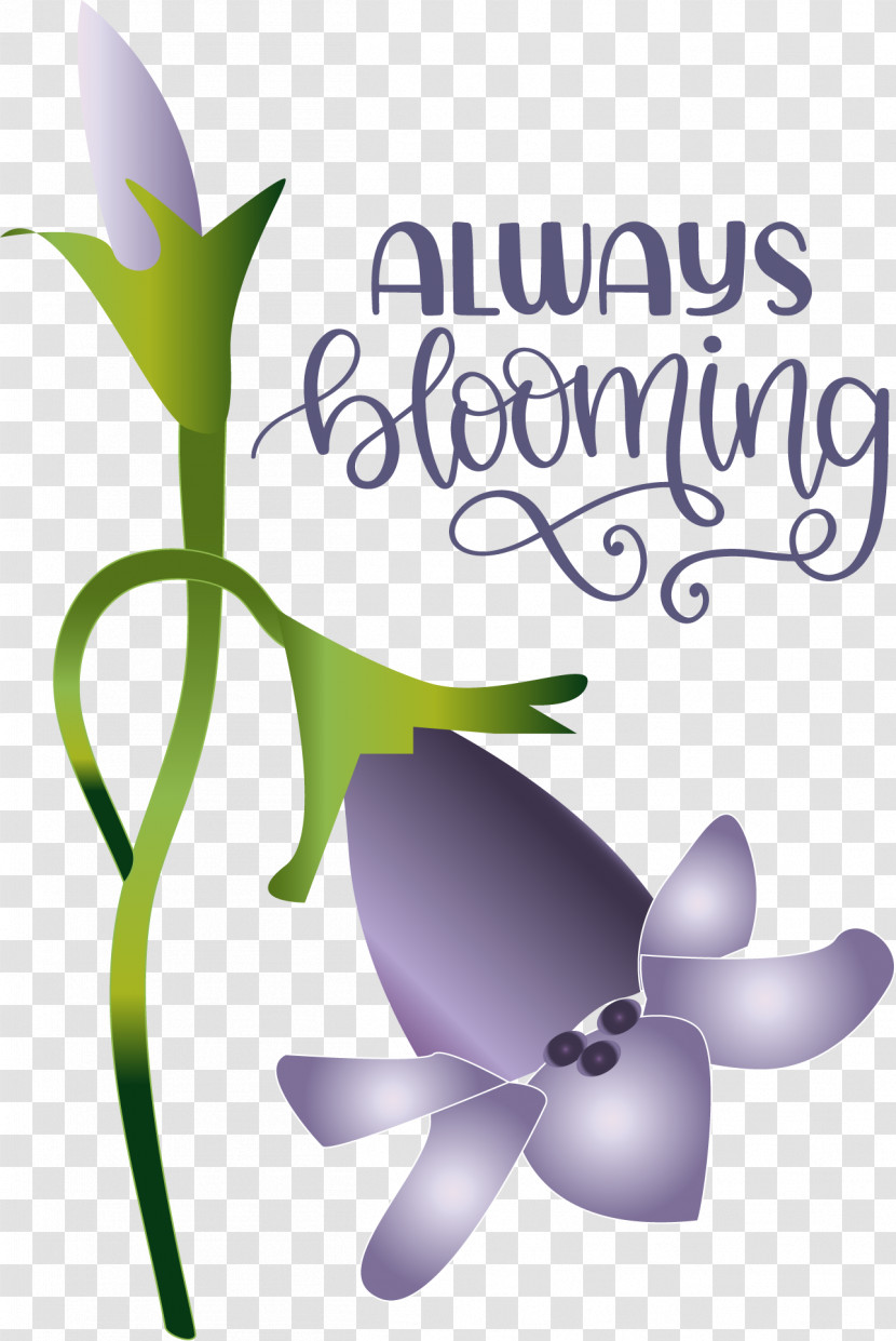 Floral Design Transparent PNG