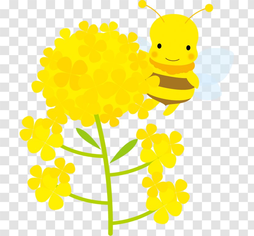 Blossoms And Bees Illustration. - Branch - Flowering Plant Transparent PNG