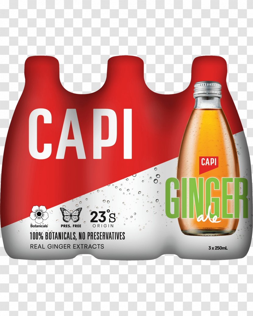 Fizzy Drinks Ginger Beer Orange Soft Drink Carbonated Water - Dry Transparent PNG