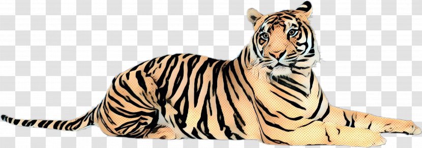 Tiger Big Cat Terrestrial Animal Fauna - Wildlife - Figure Transparent PNG