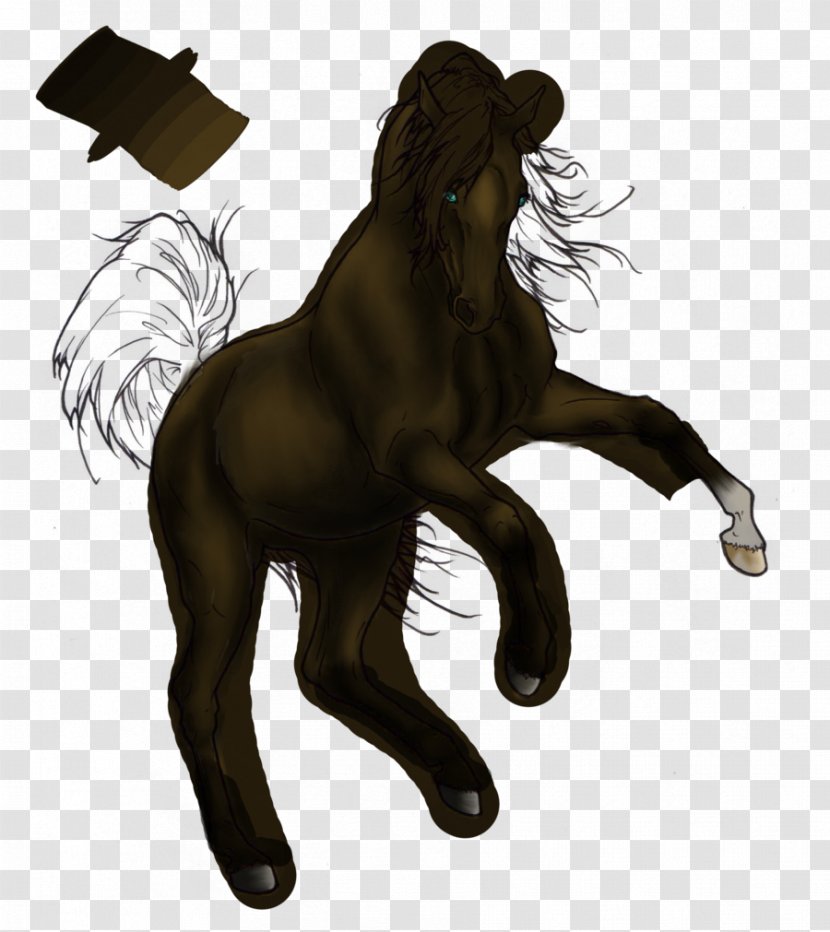 Mustang Stallion Pony Rearing Drawing Transparent PNG