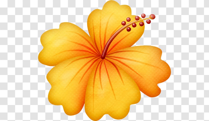 Cuisine Of Hawaii Clip Art Flower Transparent PNG