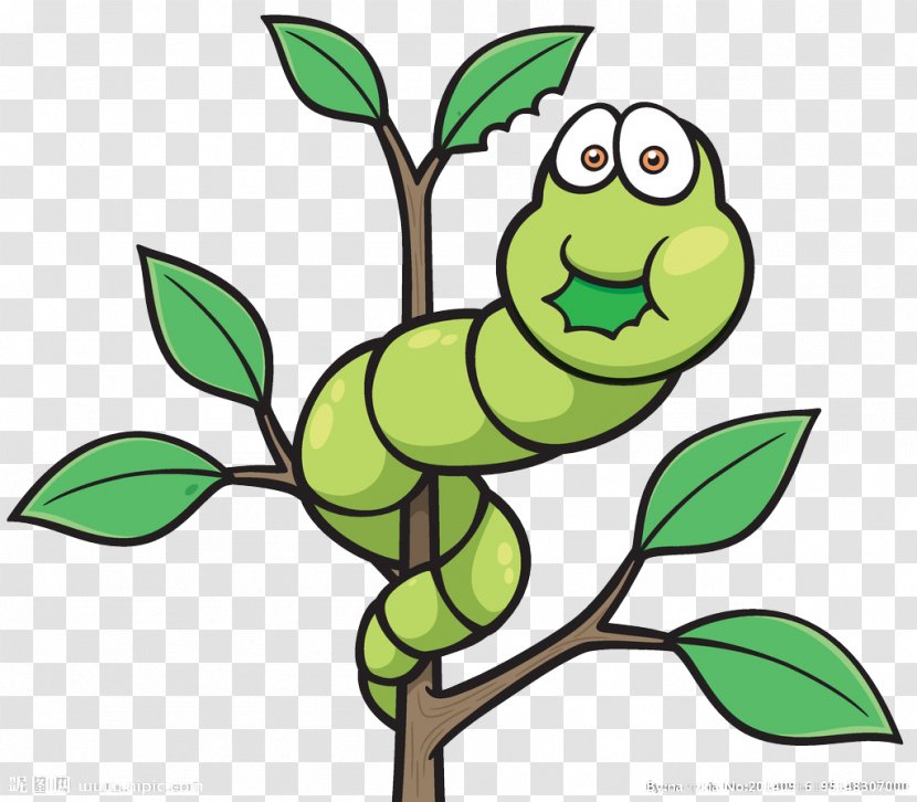 Worm Cartoon Royalty-free Illustration - Photography - Green Caterpillar Transparent PNG