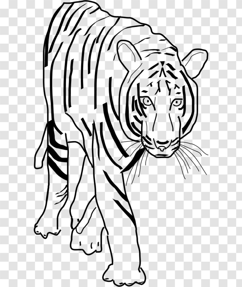 White Tiger Black Clip Art - Flower - Stripes Clipart Transparent PNG