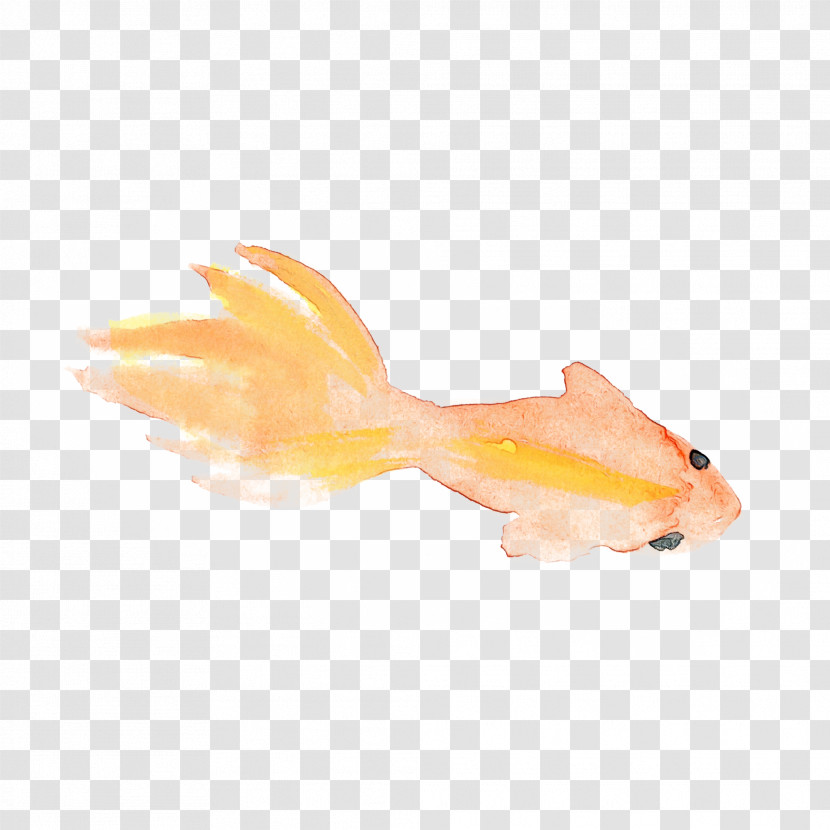 Orange Transparent PNG