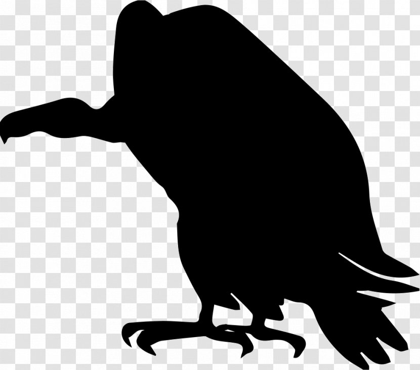 Turkey Vulture Clip Art - Fauna - Silhouette Transparent PNG