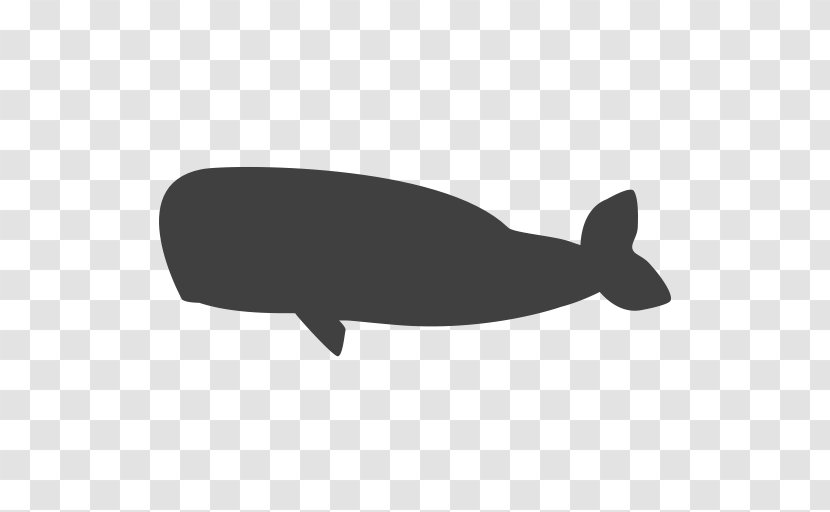 Word Spark Hexa - Fin - Block Puzzle Whale Endangered SpeciesWhale Transparent PNG