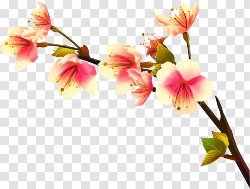 Cherry Blossom Cartoon - Pink - Plant Stem Artificial Flower Transparent PNG