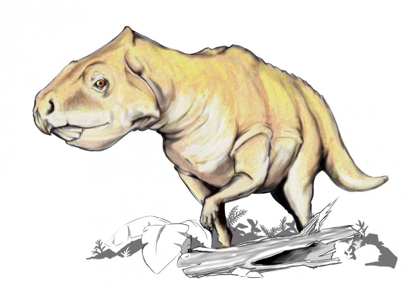 Plesiosauria Prenoceratops Text Book Author - Dinosaur Transparent PNG