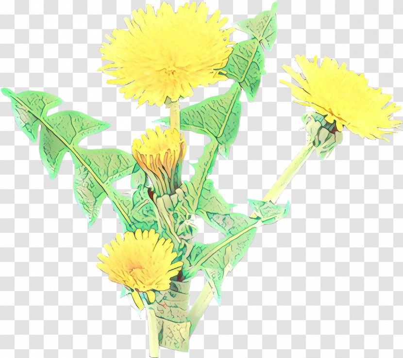 Flower Dandelion Yellow Cut Flowers Plant - English Marigold Sow Thistles Transparent PNG