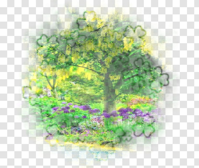 Floral Design Tree Shrub Herb Transparent PNG