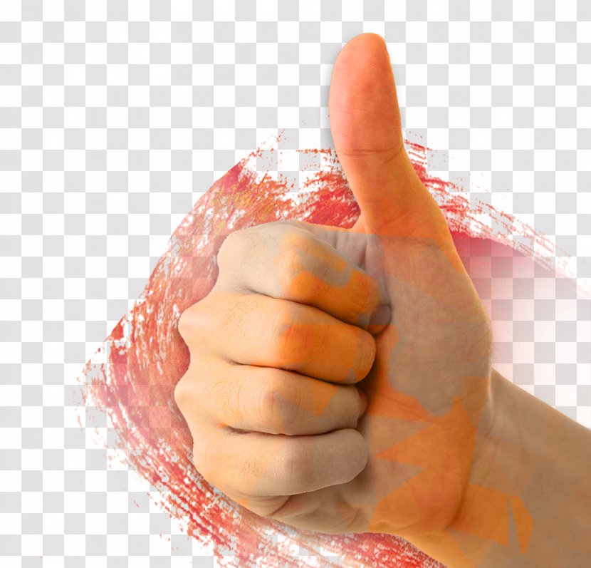 Thumb Finger Poster Euclidean Vector - Flower - Hard Work Transparent PNG