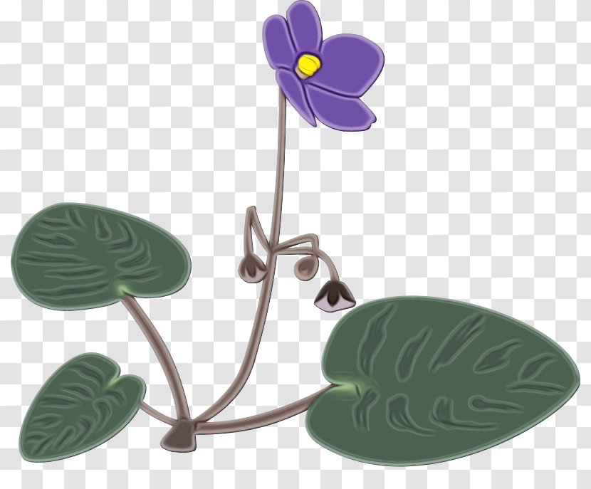 Leaf Flower Violet Plant Anthurium - Paint Transparent PNG
