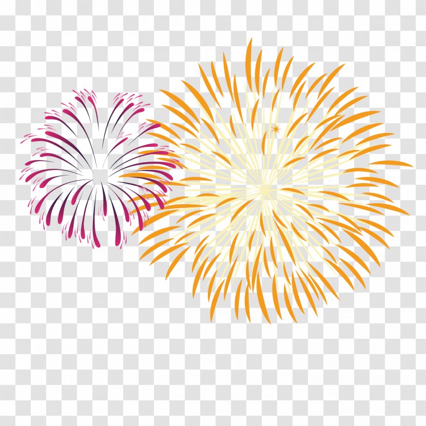 Fireworks Pyrotechnics - Celebration Transparent PNG