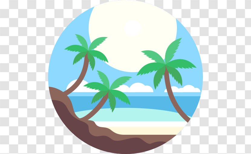 Beach - Ball - Tree Transparent PNG