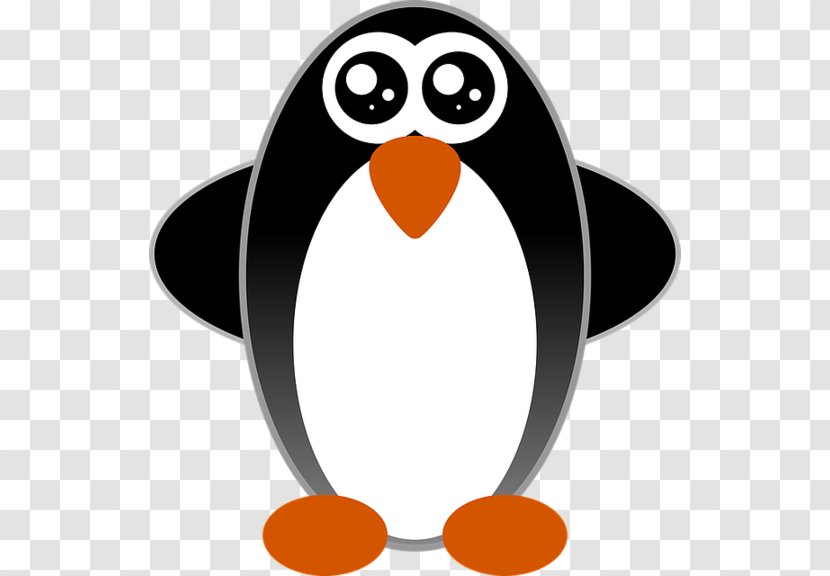 Penguin Bird Drawing Cartoon Transparent PNG