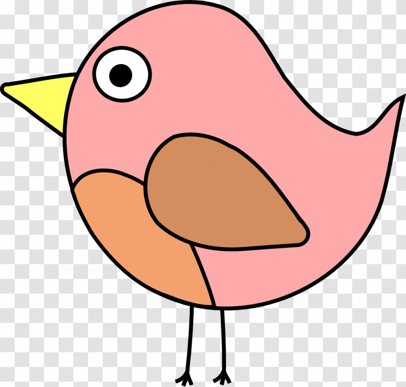 Bird Drawing Color Beak Clip Art Transparent PNG
