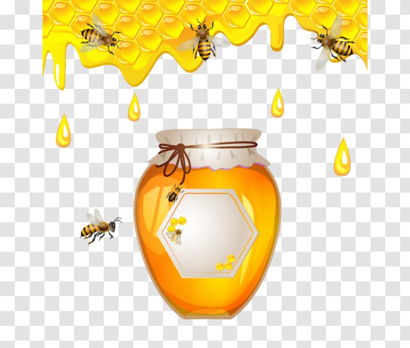 Western Honey Bee Honeycomb Beekeeping - Pollinator - Nectar Cartoon Transparent PNG