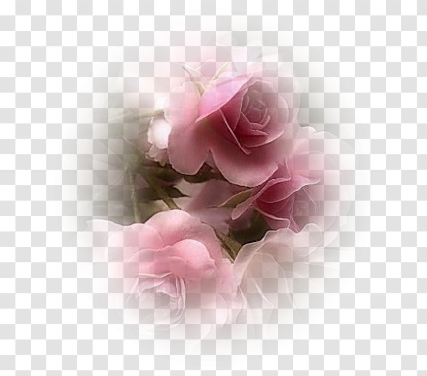 Flower Art Blog Desktop Wallpaper - Animation Transparent PNG