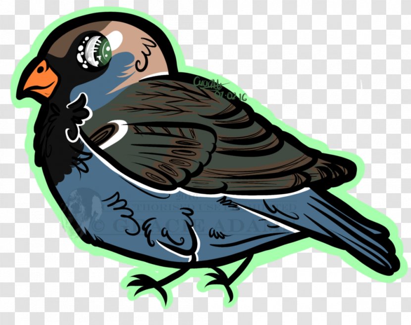Beak Feather Clip Art - Wing Transparent PNG