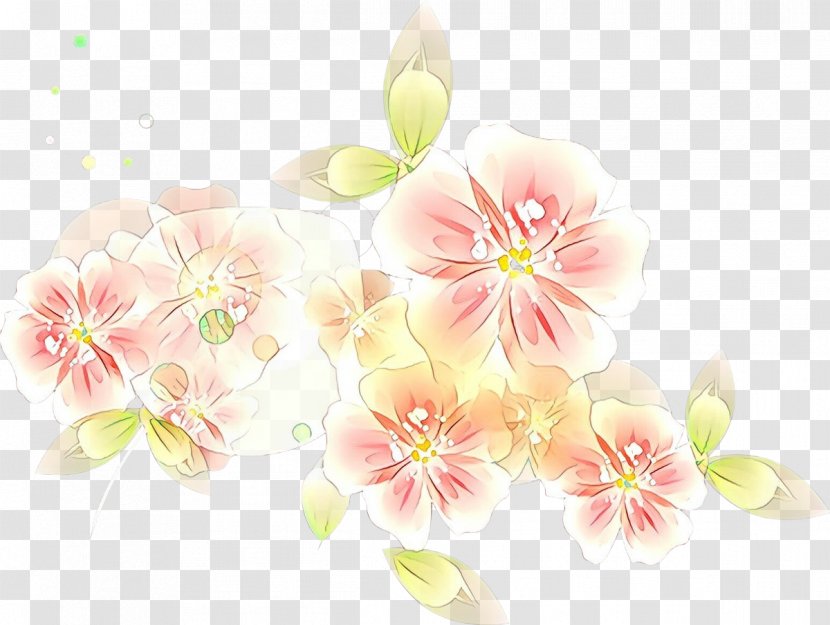 Blossom Cut Flowers Floral Design ST.AU.150 MIN.V.UNC.NR AD - Petal Transparent PNG