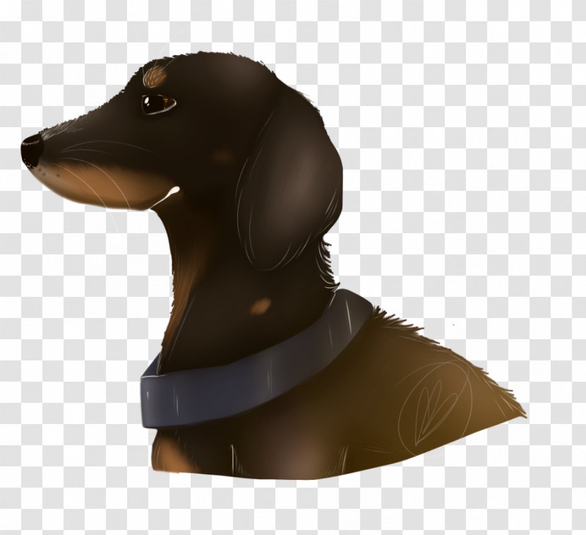 Dog Breed Dachshund Puppy Product Neck - Snout Transparent PNG