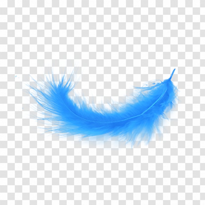 Clip Art Feather Image Desktop Wallpaper - Fashion Accessory - Painting Blue Transparent PNG