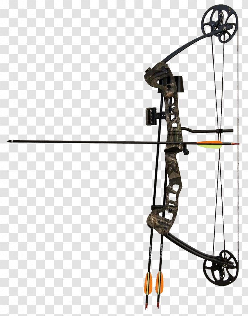 Compound Bows Bow And Arrow Archery Hunting - Compoundbowandarrow Transparent PNG
