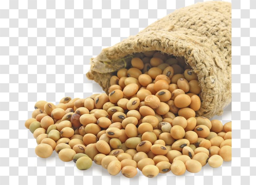 Soybean Meal Soy Milk Edamame Food - Oil Transparent PNG