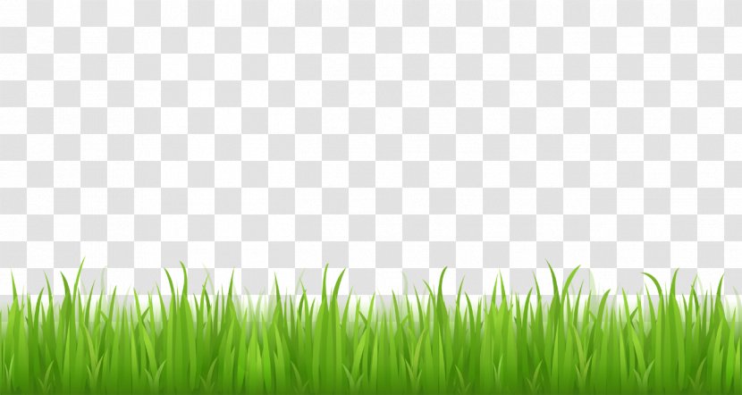 Free Content Clip Art - Plant - Football Grass Cliparts Transparent PNG