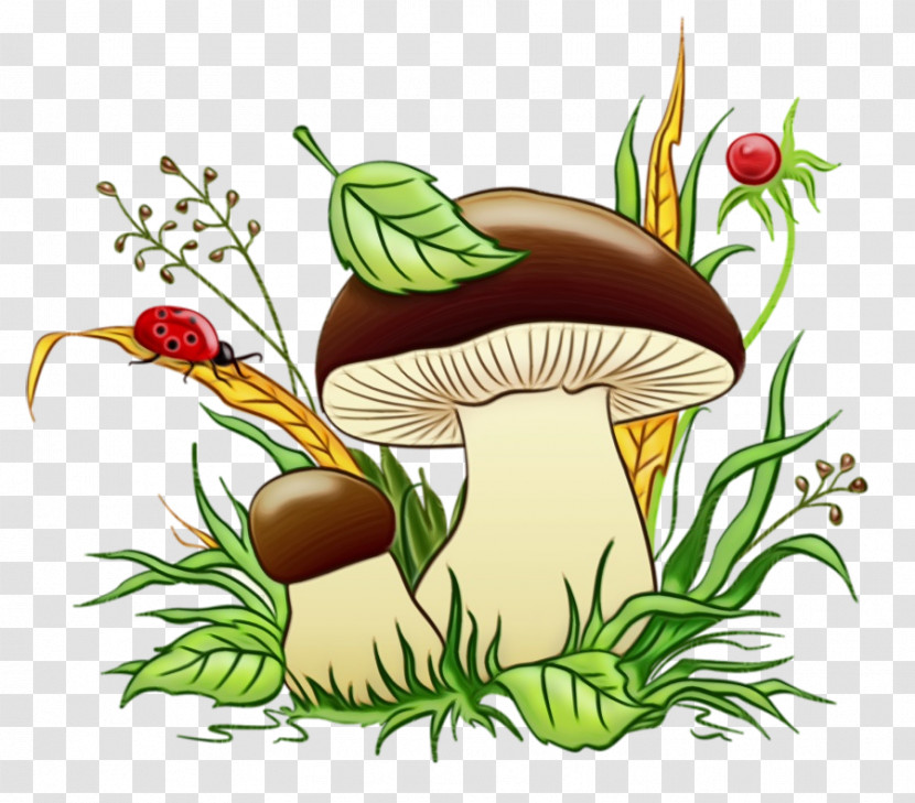 Flower Vegetable Flowerpot Mushroom Transparent PNG